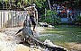 Hartleys Crocodile Adventures - Self Drive