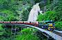 Cairns in a Day - Kuranda Combo