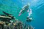 2 Day Reef & Rainforest Package