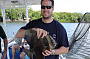 Bat Fish