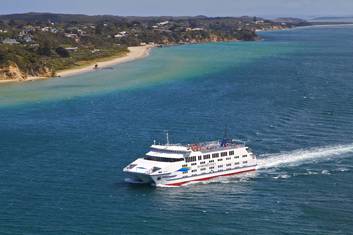 Ferry across the bay (be sure to look for dolphins!)