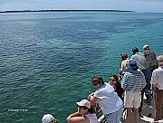 Beautiful clear water and white sand to the Gold Coast